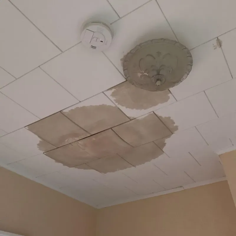 Ceiling Water Damage Repair in Lake Worth Corridor, FL